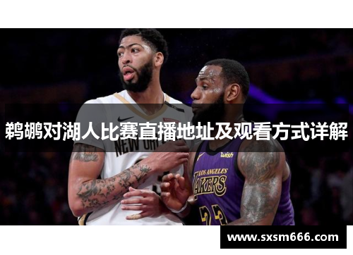 鹈鹕对湖人比赛直播地址及观看方式详解